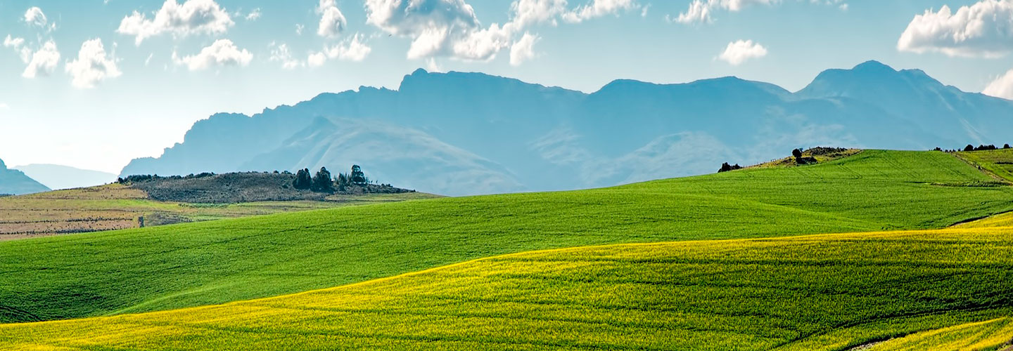 Ecosostenibilità Rispetto dell'ambiente 2